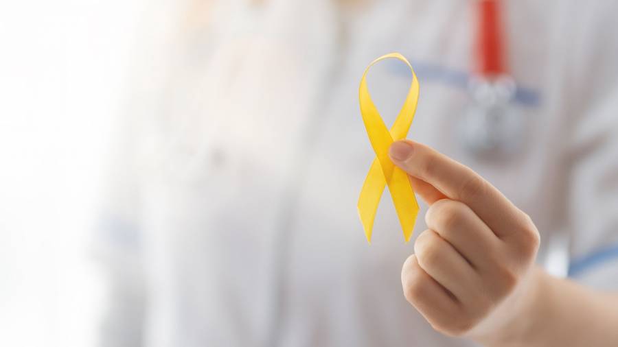 &Tau;&rho;ί&alpha; &sigma;&tau;&alpha; &tau;έ&sigma;&sigma;&epsilon;&rho;&alpha; &pi;&alpha;&iota;&delta;&iota;ά &mu;&epsilon; &kappa;&alpha;&rho;&kappa;ί&nu;&omicron; &theta;&epsilon;&rho;&alpha;&pi;&epsilon;ύ&omicron;&nu;&tau;&alpha;&iota;