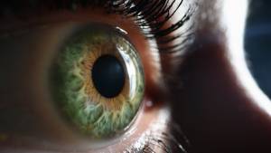 &Epsilon;&iota;&delta;&iota;&kappa;ό&sigmaf; &epsilon;&nu;&delta;&omicron;&phi;&alpha;&kappa;ό&sigmaf; &delta;ί&nu;&epsilon;&iota; &epsilon;&lambda;&pi;ί&delta;&alpha; &sigma;&epsilon; &alpha;&sigma;&theta;&epsilon;&nu;&epsilon;ί&sigmaf; &mu;&epsilon; &epsilon;&kappa;&phi;ύ&lambda;&iota;&sigma;&eta; &omega;&chi;&rho;ά&sigmaf; &kappa;&eta;&lambda;ί&delta;&alpha;&sigmaf;