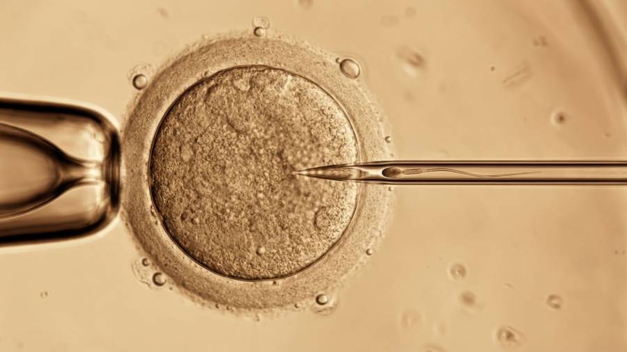 &Nu;έ&alpha; &mu;έ&theta;&omicron;&delta;&omicron;&sigmaf; &gamma;&iota;&alpha; &beta;&epsilon;&lambda;&tau;ί&omega;&sigma;&eta; &tau;&eta;&sigmaf; &pi;&omicron;&iota;ό&tau;&eta;&tau;&alpha;&sigmaf; &omega;&alpha;&rho;ί&omega;&nu; &kappa;&alpha;&iota; &alpha;ύ&xi;&eta;&sigma;&eta; &epsilon;&pi;&iota;&tau;&upsilon;&chi;ί&alpha;&sigmaf; IVF