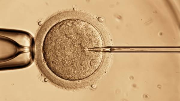 &Nu;έ&alpha; &mu;έ&theta;&omicron;&delta;&omicron;&sigmaf; &gamma;&iota;&alpha; &beta;&epsilon;&lambda;&tau;ί&omega;&sigma;&eta; &tau;&eta;&sigmaf; &pi;&omicron;&iota;ό&tau;&eta;&tau;&alpha;&sigmaf; &omega;&alpha;&rho;ί&omega;&nu; &kappa;&alpha;&iota; &alpha;ύ&xi;&eta;&sigma;&eta; &epsilon;&pi;&iota;&tau;&upsilon;&chi;ί&alpha;&sigmaf; IVF