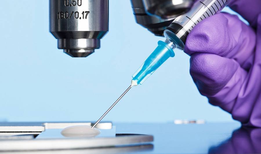 &Tau;&iota; &epsilon;ί&nu;&alpha;&iota; &eta; &sigma;&pi;&epsilon;&rho;&mu;&alpha;&tau;έ&gamma;&chi;&upsilon;&sigma;&eta;;