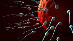 Υπογόνιμοι άνδρες: Οι οικογένειές τους διατρέχουν αυξημένο κίνδυνο εμφάνισης καρκίνου