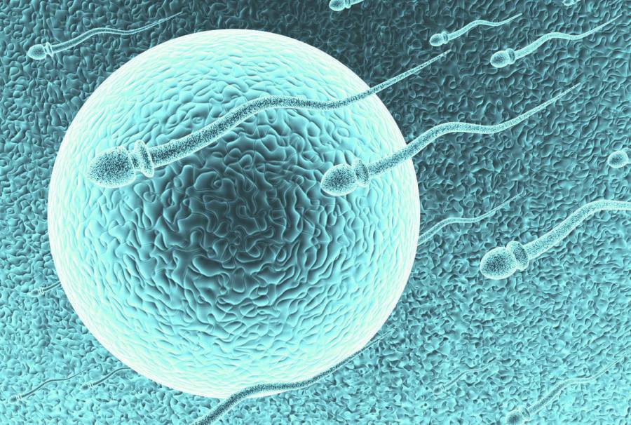 Εξέταση ΑΜΗ: Το «δώρο» που κάθε γυναίκα χρωστά στον εαυτό της