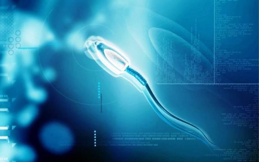 Γιατί τα ζευγάρια των μεγαλουπόλεων έχουν πιο αυξημένα ποσοστά υπογονιμότητας;