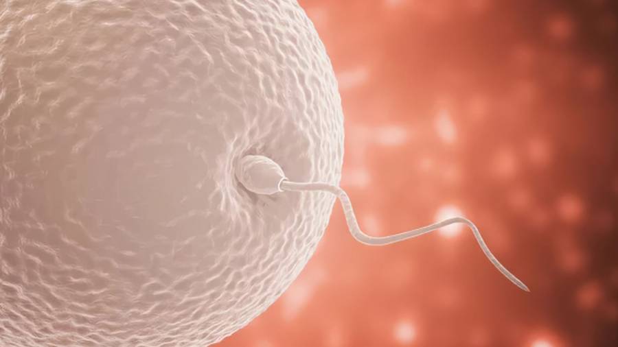 &Alpha;&nu;&delta;&rho;&iota;&kappa;ή &upsilon;&pi;&omicron;&gamma;&omicron;&nu;&iota;&mu;ό&tau;&eta;&tau;&alpha;: Έ&nu;&alpha;&sigmaf; &sigma;&iota;&omega;&pi;&eta;&lambda;ό&sigmaf; &delta;&epsilon;ί&kappa;&tau;&eta;&sigmaf; &sigma;&omicron;&beta;&alpha;&rho;ώ&nu; &kappa;&iota;&nu;&delta;ύ&nu;&omega;&nu; &gamma;&iota;&alpha; &tau;&eta;&nu; &upsilon;&gamma;&epsilon;ί&alpha;