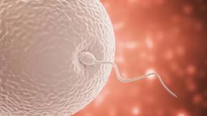 &Alpha;&nu;&delta;&rho;&iota;&kappa;ή &upsilon;&pi;&omicron;&gamma;&omicron;&nu;&iota;&mu;ό&tau;&eta;&tau;&alpha;: Έ&nu;&alpha;&sigmaf; &sigma;&iota;&omega;&pi;&eta;&lambda;ό&sigmaf; &delta;&epsilon;ί&kappa;&tau;&eta;&sigmaf; &sigma;&omicron;&beta;&alpha;&rho;ώ&nu; &kappa;&iota;&nu;&delta;ύ&nu;&omega;&nu; &gamma;&iota;&alpha; &tau;&eta;&nu; &upsilon;&gamma;&epsilon;ί&alpha;