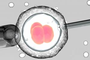 &Gamma;&epsilon;&nu;&nu;ή&theta;&eta;&kappa;&alpha;&nu; &tau;&alpha; &pi;&rho;ώ&tau;&alpha; &gamma;&epsilon;&nu;&epsilon;&tau;&iota;&kappa;ά &tau;&rho;&omicron;&pi;&omicron;&pi;&omicron;&iota;&eta;&mu;έ&nu;&alpha; &mu;&omega;&rho;ά &mu;&epsilon; &alpha;&nu;&omicron;&sigma;ί&alpha; &sigma;&tau;&omicron; Έ&iota;&tau;&zeta;