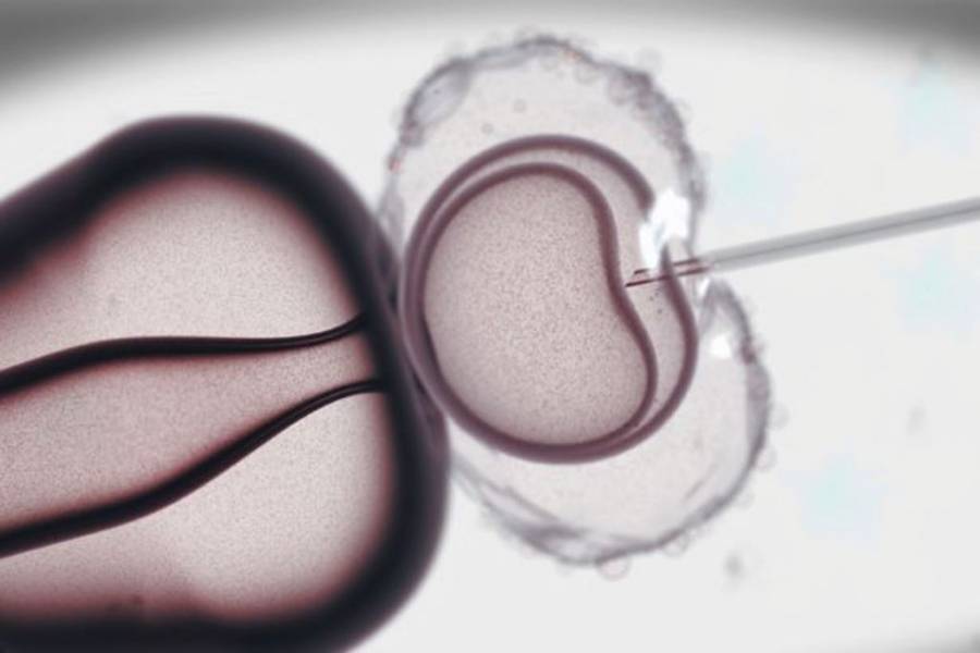 Όγκοι σε παιδιά που γεννήθηκαν μέσω της εξωσωματικής γονιμοποίησης; Μια μικρή έρευνα αποκαλύπτει