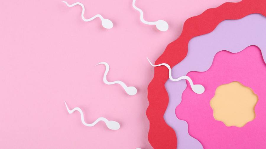 Όλα όσα πρέπει να γνωρίζει μία γυναίκα για την ποσότητα και την ποιότητα των ωαρίων της